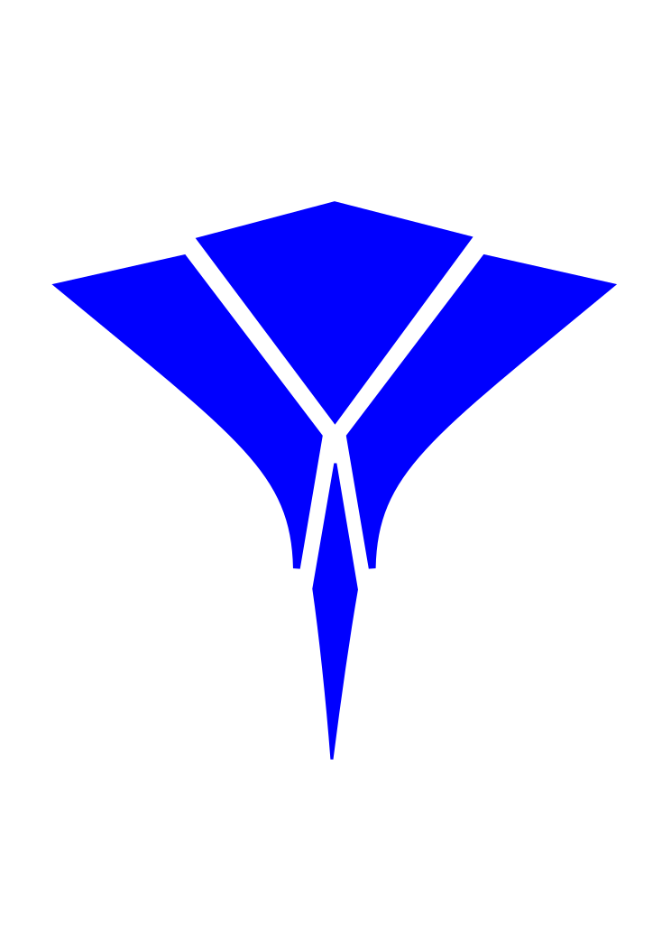 Stingray Technology Logo
